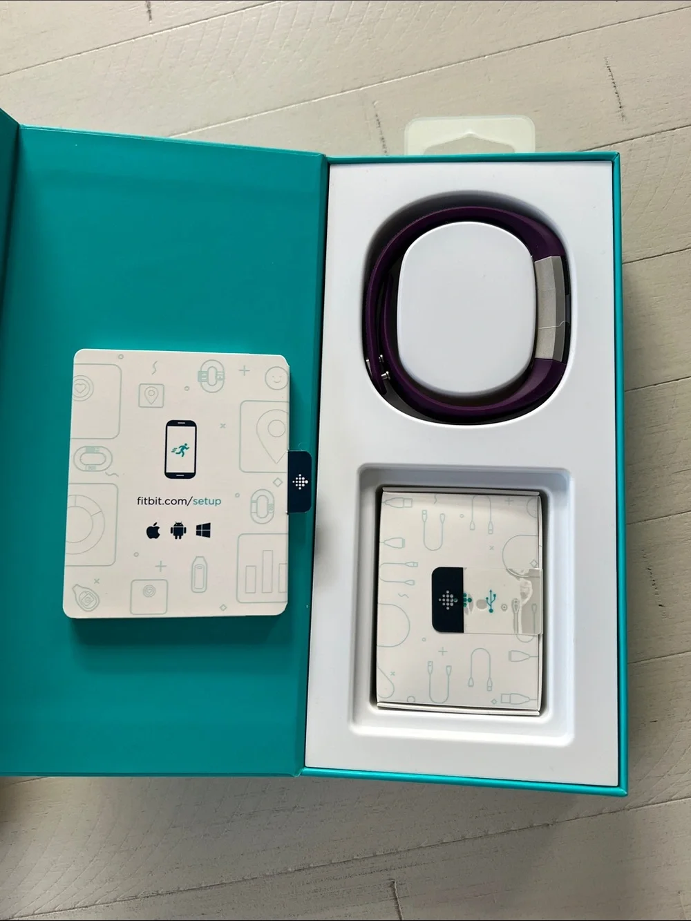 Fitbit Alta Unit in Plum Size Large